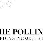 the-pollination-project-logo-1322×337